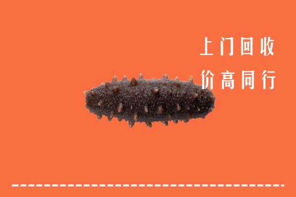 高价求购：宁波市回收海参